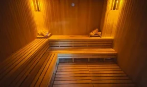 ساونا