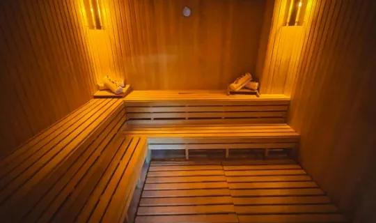 ساونا